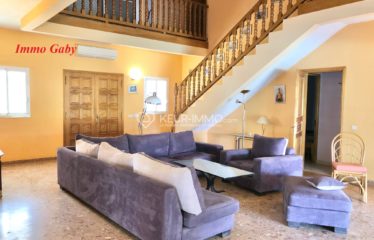 Villa de grand standing située à quelques mètres de la plage, proche des commerces. 2 000 m² de terrain arboré.