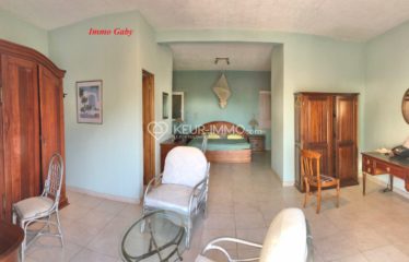 Villa de grand standing située à quelques mètres de la plage, proche des commerces. 2 000 m² de terrain arboré.