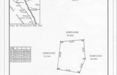 Terrain à VENDRE de 40 000M2 (3 parcelles 3ha +1 ha collé)