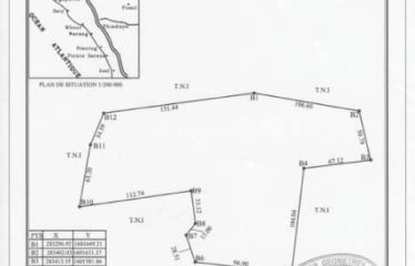 Terrain à VENDRE de 40 000M2 (3 parcelles 3ha +1 ha collé)
