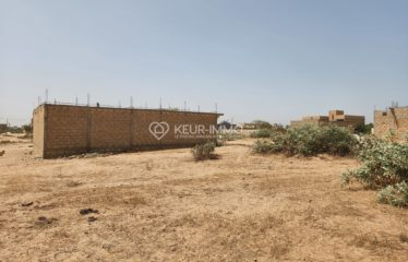 MALICOUNDA : Terrain à vendre 300 m²
