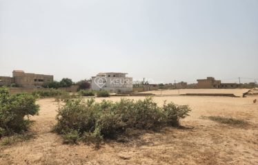 MALICOUNDA : Terrain à vendre 300 m²