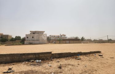 MALICOUNDA : Terrain à vendre 300 m²