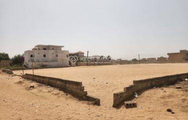 MALICOUNDA : Terrain à vendre 300 m²