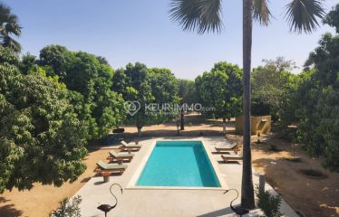 SINE-SALOUM : Domaine à vendre à Yayem