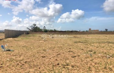Nguerine : Superbe parcelle murée sur deux côtés, située à proximité du Parc Exotique.