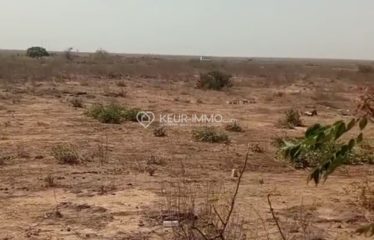 Terrains Diass à vendre