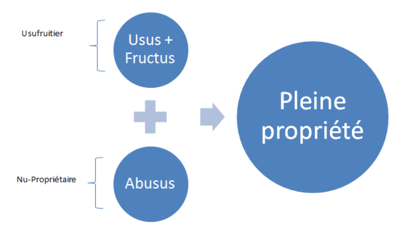 Pleine propriété et usufruit