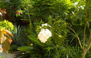 WARANG : Villa à vendre 3 chambres + 4 éléments locatifs proche mer