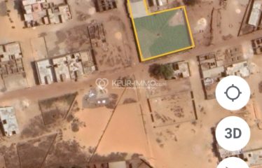 DAKAR TIVAOUANE : Terrain à vendre