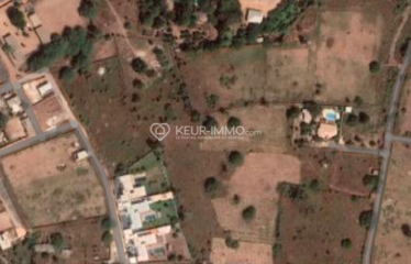 NGUERIGNE : Terrain à vendre 2000 m²