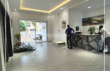 DAKAR ZONE B : Appartement F2 à louer