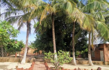 WARANG : Villa à vendre au charme exotique de 3 chambres