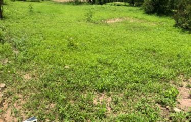 WARANG : Terrain à vendre de 5000m2