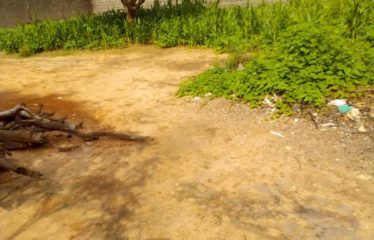 NGAPAROU : Terrain à vendre de 1000 m2 clôturé