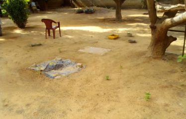 NGAPAROU : Terrain à vendre de 1000 m2 clôturé