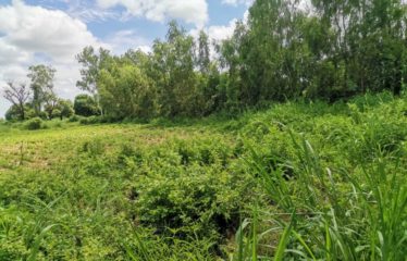 WARANG : Terrain à vendre de 5300m2