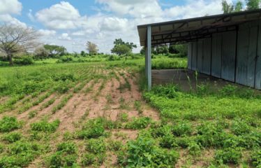 WARANG : Terrain à vendre de 5300m2