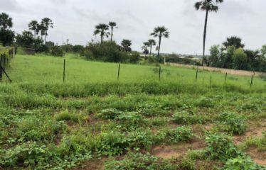 NDANGANE : Terrain de 1000 m2 à vendre en résidence