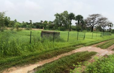 NDANGANE : Terrain de 1000 m2 à vendre en résidence