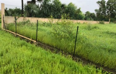 NDANGANE : Terrain de 1000 m2 à vendre en résidence