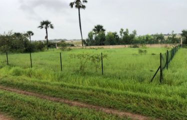 NDANGANE : Terrain de 1000 m2 à vendre en résidence