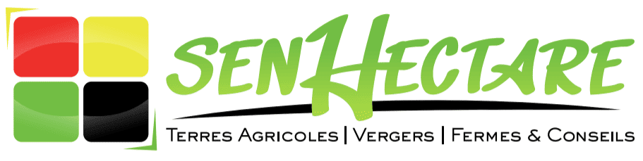 Agence immobilière Sen Hectare à Saly au Sénégal