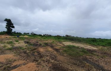 NGUERIGNE : Terrain à vendre 1500 m²