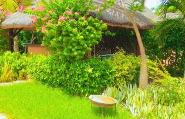 NIANING : Villa à vendre proche de la mer