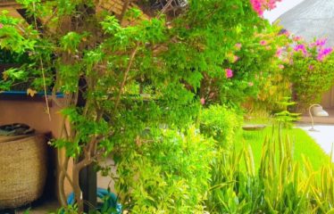 NIANING : Villa à vendre proche de la mer