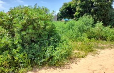 NGAPAROU : Terrain à vendre 600 m2 en délibération.