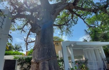 NGAPAROU : villa luxueuse à louer 4 chambres