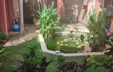 SALY : Villa à vendre de 120 m2 de 3 chambres