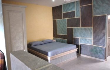 SALY : Maison d’hôtes à vendre dans un espace arboré et calme