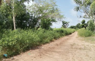 WARANG : Terrain à vendre de 5 381 m2