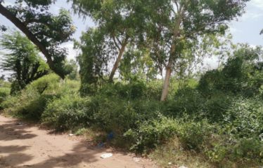 WARANG : Terrain à vendre de 5 381 m2