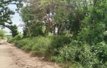 WARANG : Terrain à vendre de 5 381 m2