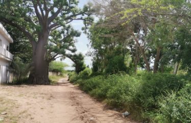 WARANG : Terrain à vendre de 5 381 m2