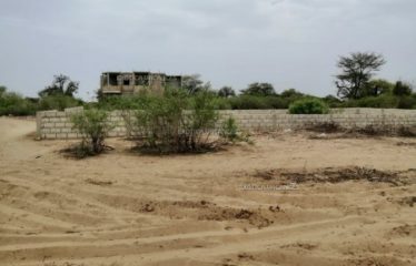 GANDIGAL SUD : Terrain à vendre