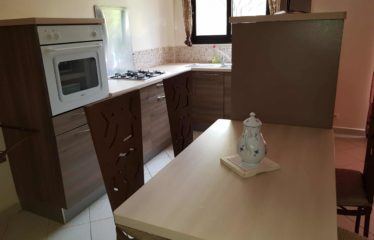 SALY : Ensemble immobilier à vendre comprenant un appartement et une boutique