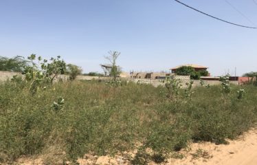 SOMONE : Terrain à bâtir à vendre de 370 m2 vue dégagée