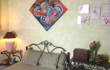 SALY : Demeure originale à vendre de 3 chambres