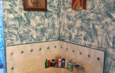 SALY : Demeure originale à vendre de 3 chambres