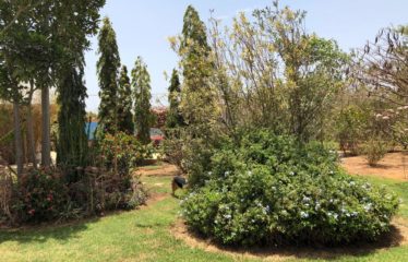 NGUERIGNE : Villa 5 chambres à vendre subtilement agencée