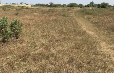 NGUERIGNE : Terrain de 300 m2 à vendre