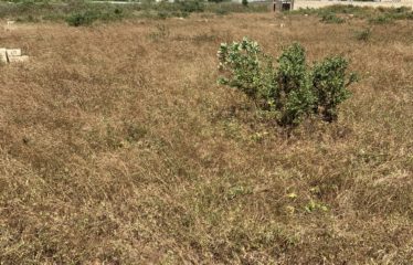 NGUERIGNE : Terrain de 300 m2 à vendre