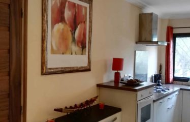 SALY : Ensemble immobilier à vendre comprenant un appartement et une boutique