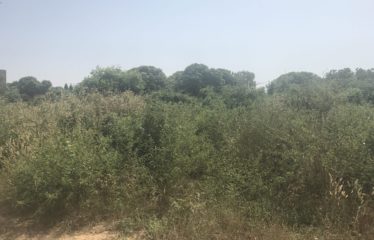 NGAPAROU : Terrain 300 m2 à vendre très bien placé