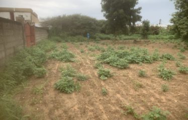 SOMONE : Beau terrain à vendre de 1547 m2