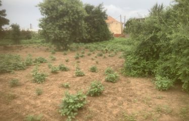 SOMONE : Beau terrain à vendre de 1547 m2